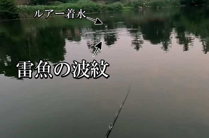 雷魚の呼吸打ち