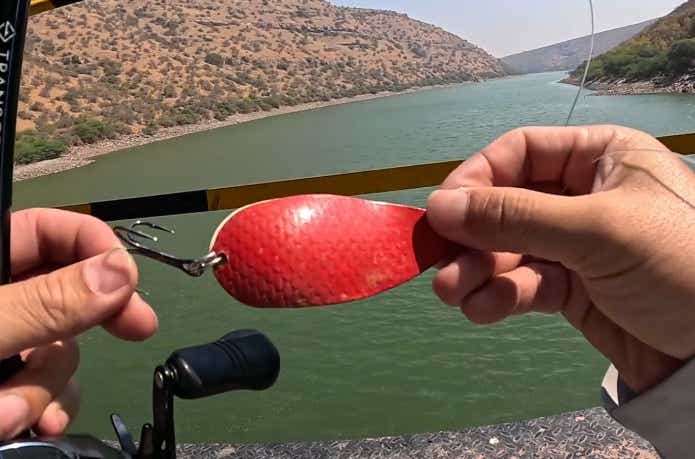 インドのビックスプーン