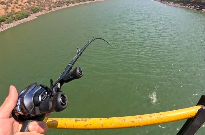 ワラゴーのヒットシーン