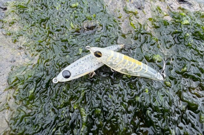 釣った魚は数知れず。7年間ボックスから外れない“小さいのに飛ぶルアー”