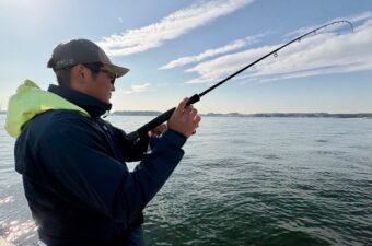 アジじゃない。東京湾で100匹を狙える釣りを、ご存知？