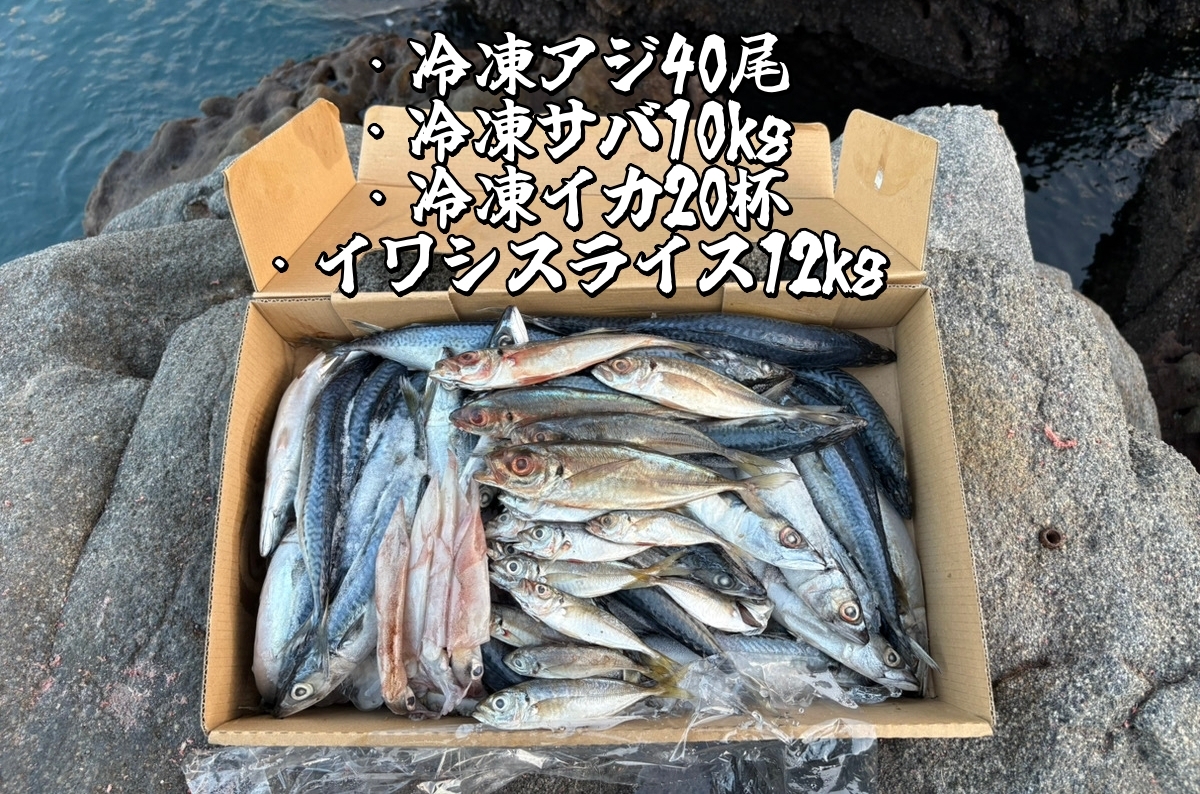 “業務用レベルの餌”で、日本のとある湾に潜む人工怪魚を狙ってみたら......