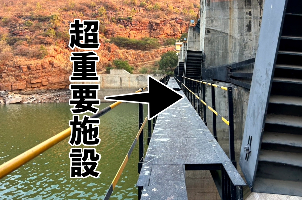 「ここ、釣り禁じゃないの？」警察拘束・高速逆走——危険すぎる怪魚遠征記。