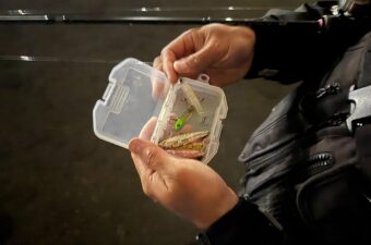 メバリングは足すほど迷う？23年続けて分かった「やめたこと6つ」