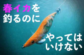 春のアオリイカを釣るのに“やってはいけない”
