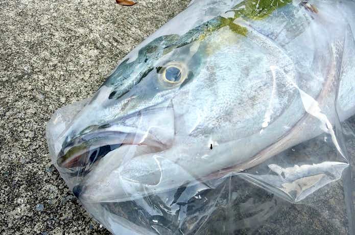 破れにくい