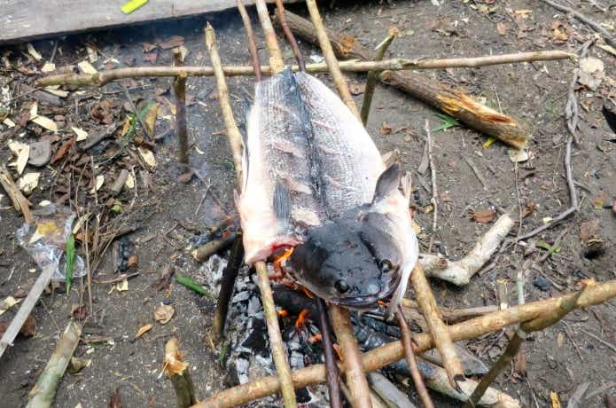 ライギョの塩焼き