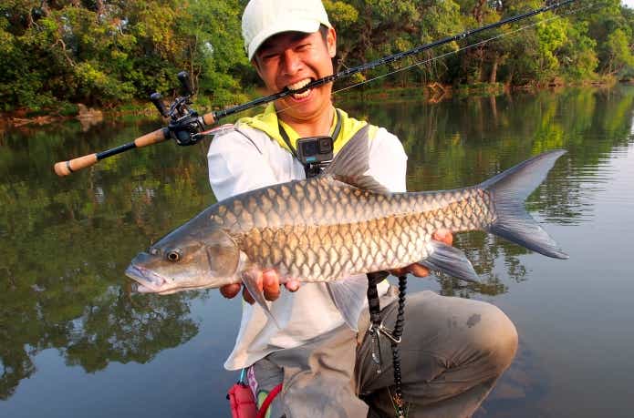 ルアーで釣れたブルーフィンマシール