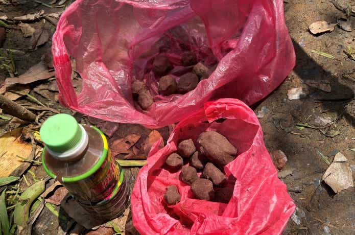 集魚剤を追加したラギ団子