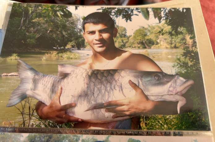 外来種として問題になっているブルーフィンマシール