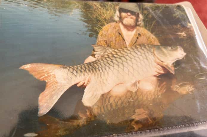 インドの絶滅危惧種であるハンプバックマシール