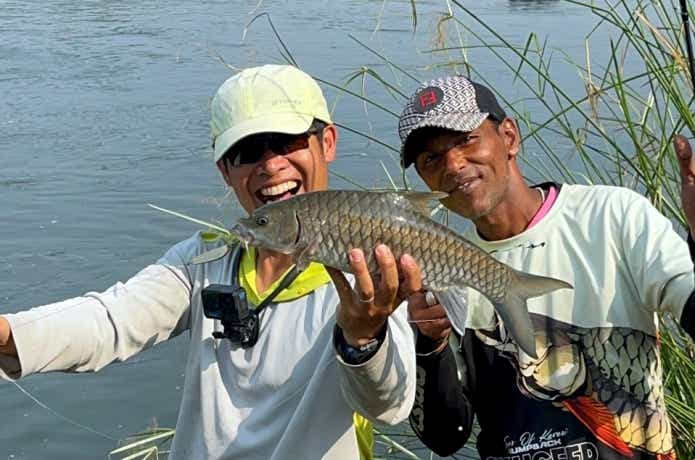 夕方に釣れた外来種であるブルーフィンマシール