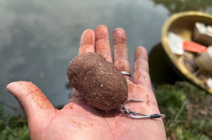 シコクビエを使った練餌