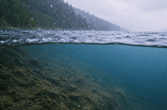 「雨の日は釣れる」は半分正解。魚が動く雨、沈黙する雨