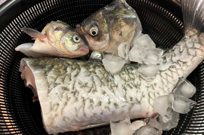 琵琶湖で釣れたフナを使った料理