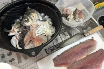 日本の“あの湖”にしかいないフナを釣って食べてみたら——