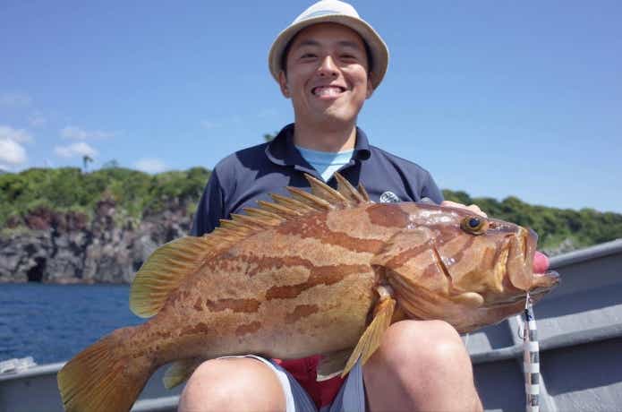 伊豆で釣り上げられたホウキハタ
