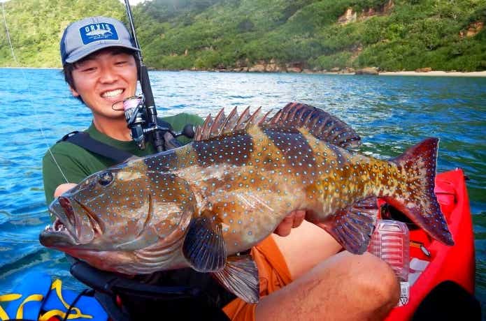 カヤックで釣れたコクハンアラ