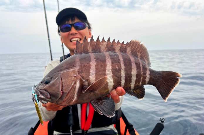 カヤックで釣り上げられたマハタ