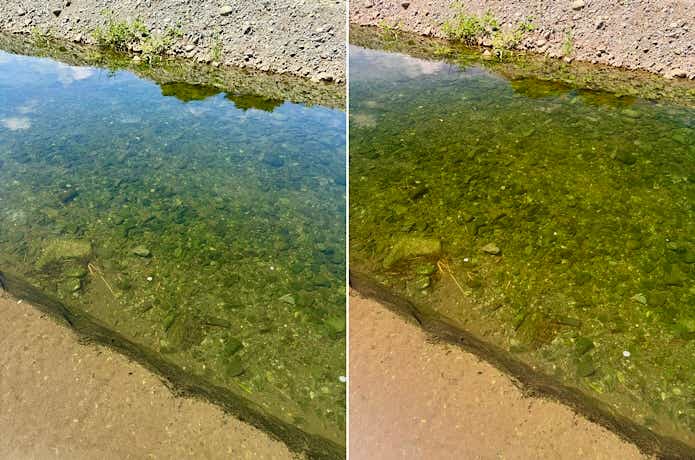 偏光レンズ越しの水中の様子