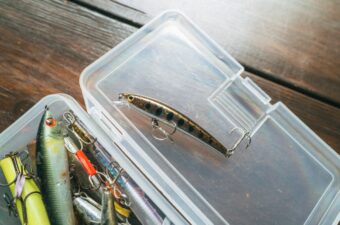 海で“トラウト用ミノー”が火を吹くワケ。細身のシルエットが、想像以上にハマってる？