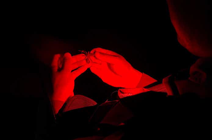 ルアーローテーション