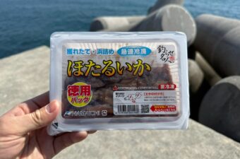 「連発やん......」ホタルイカのいない海に、冷凍ホタルイカを落としてみた
