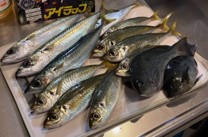 人生で一番釣れた日。初心者を爆釣へ導いた「あの仕掛け」と3つの工夫