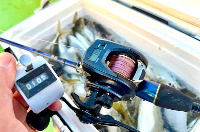 半日船での105匹の釣果