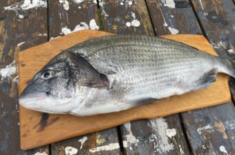 夏のチヌは本当にまずい？高水温期のクロダイをいろいろな料理で食べてみたら…