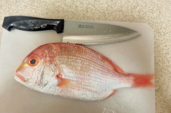 「ダイソーの出刃包丁なんかじゃ魚は捌けない？」5年以上使ってわかった実力