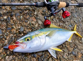「今日は何が釣れるんだろう？」手持ちのタックルで楽しむ自由な釣り