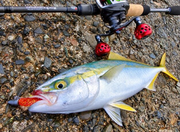 「今日は何が釣れるんだろう？」手持ちのタックルで楽しむ自由な釣り