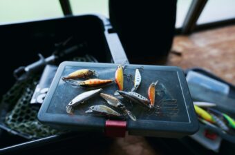 食わない魚が急に口を使う？海で効くトラウトミノー4選